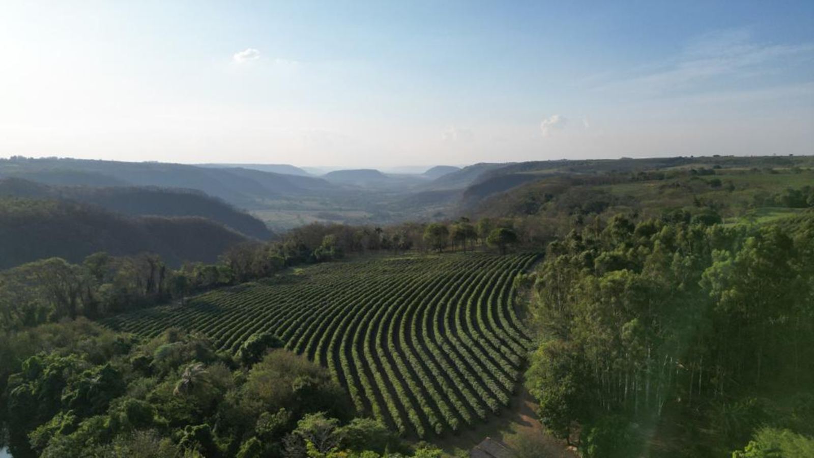 Fazenda Jatobá — foto 2