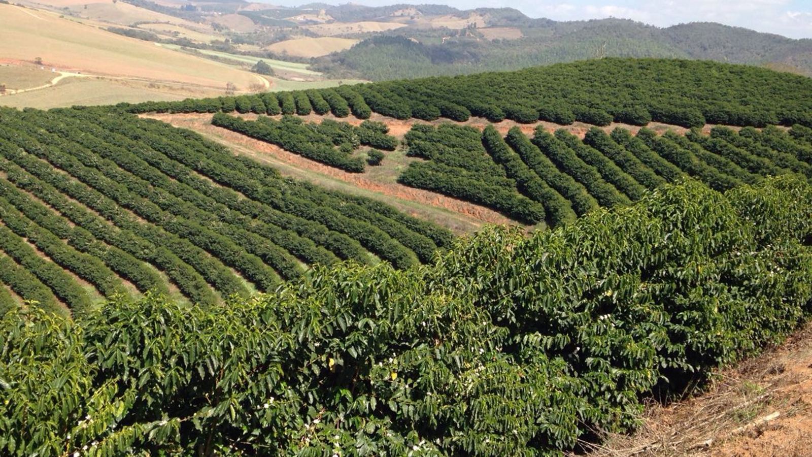 Fazenda Santa Clara — foto 2