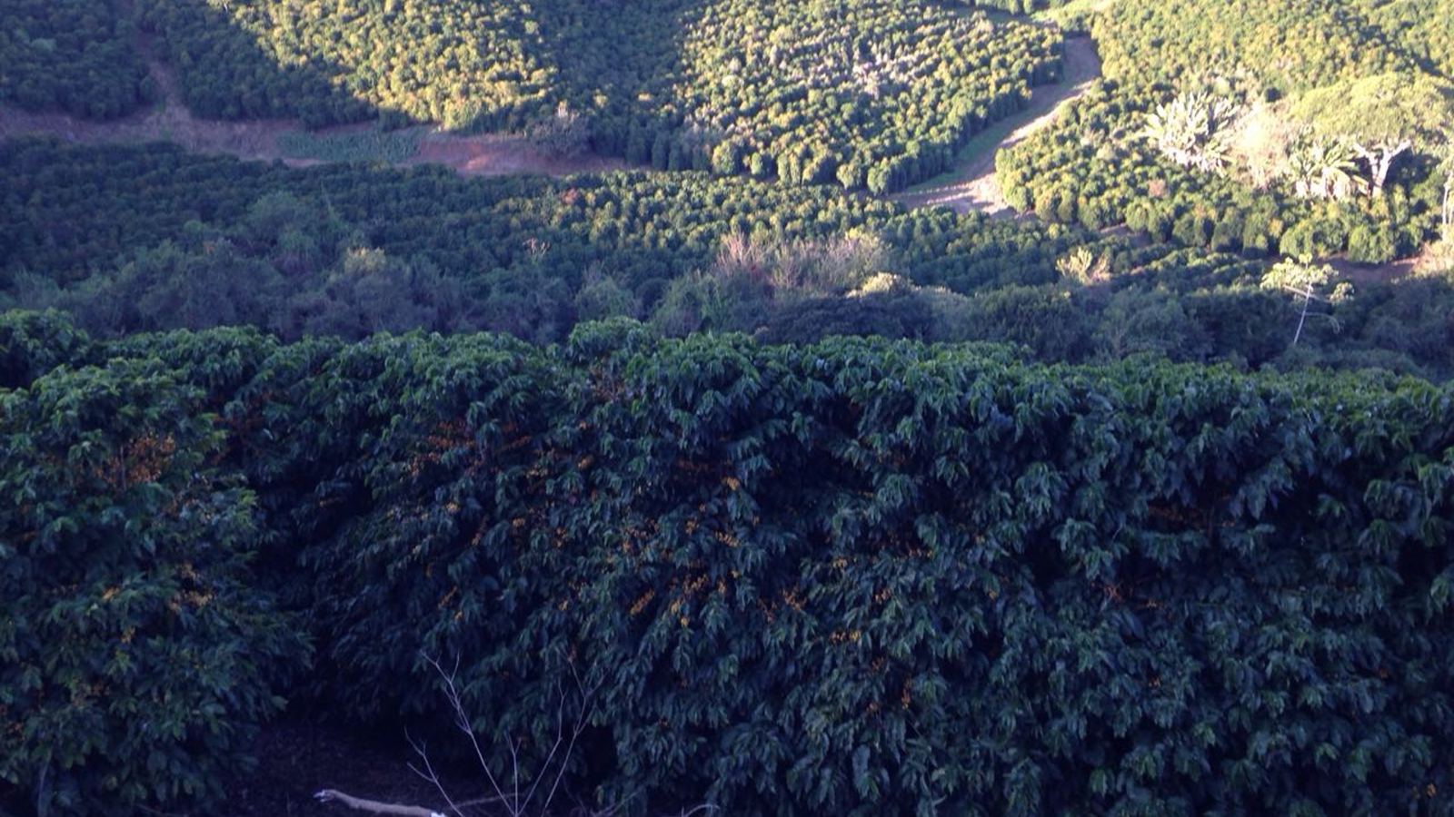 Fazenda Santa Clara — foto 3