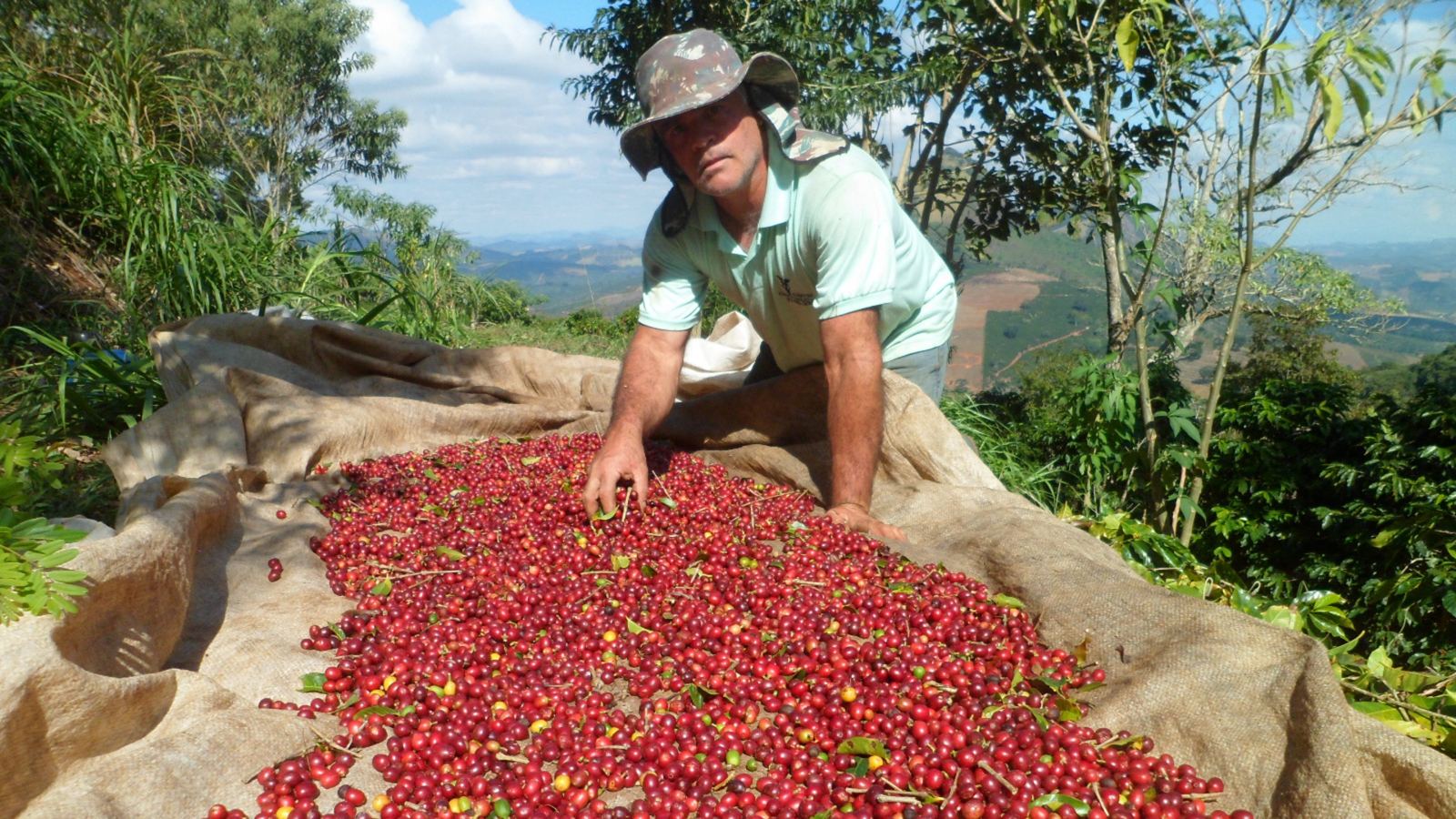 Sítio Agroecológico Recanto da Serra — foto 3