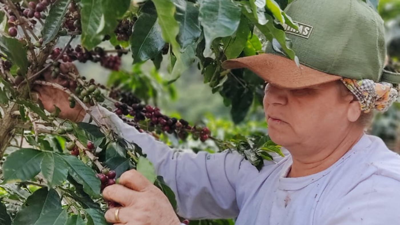Sítio Agroecológico Recanto da Serra