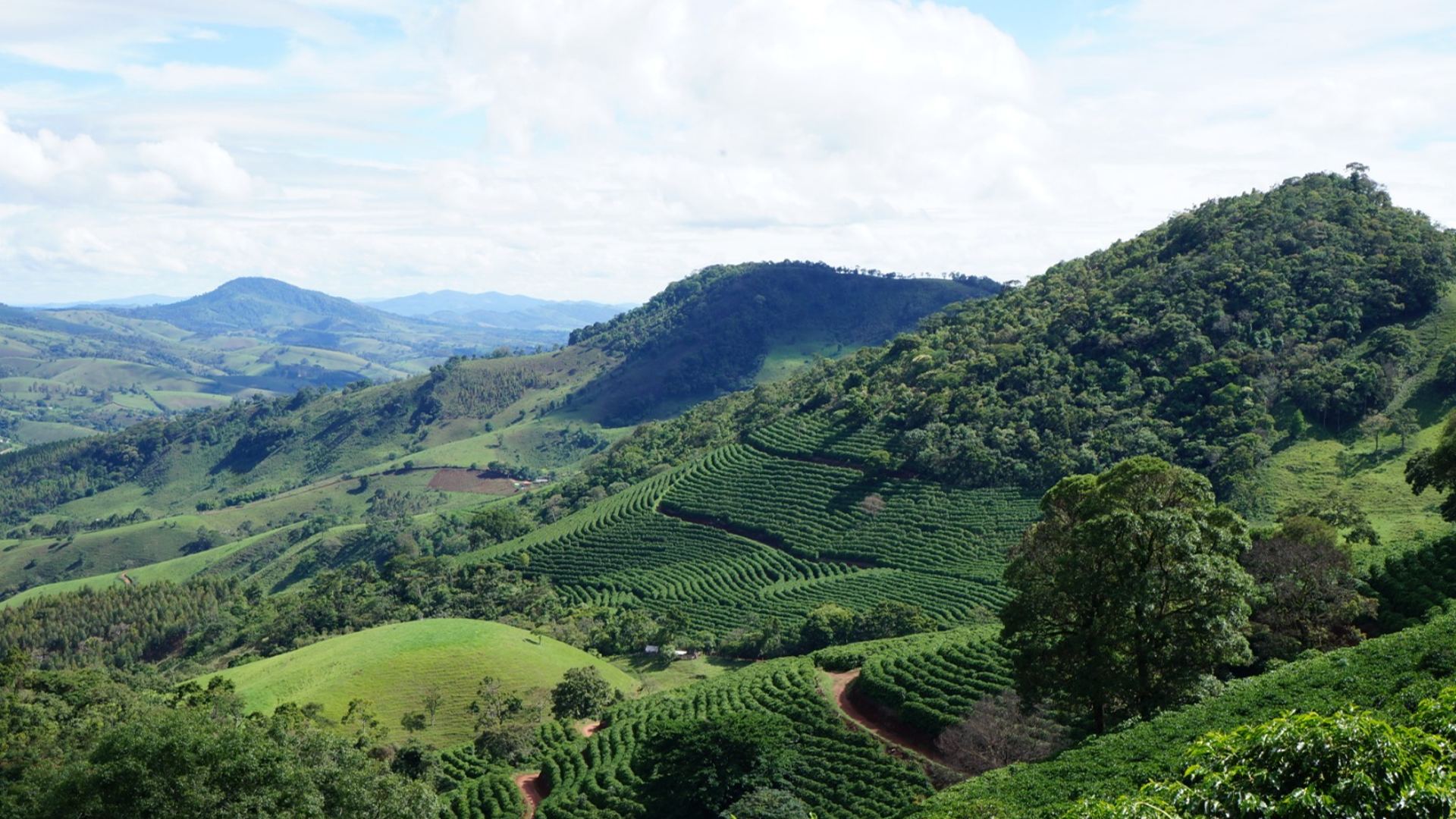 Mantiqueira de Minas